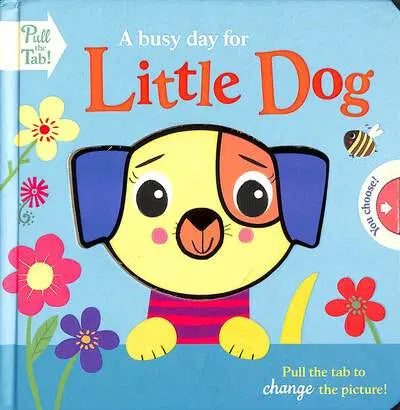 A Busy day for Little Dog