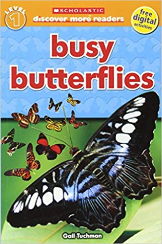 Busy Butterflies-Bargain Scholastic Fact Book | Bags of Books | Dublin