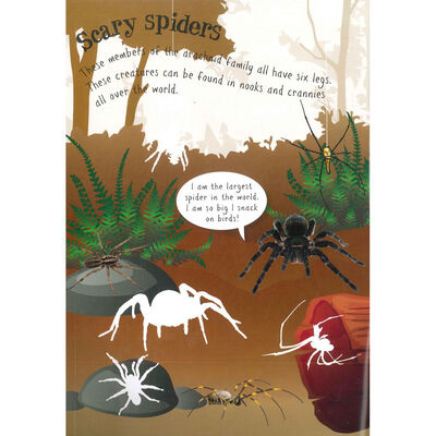 Insects and Bugs Sticker Activity Book