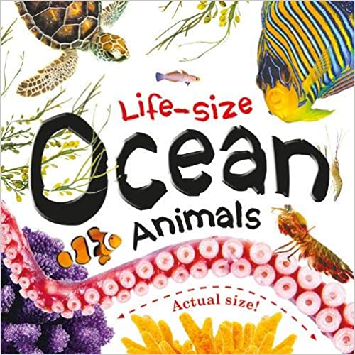 Life Size Ocean Animals