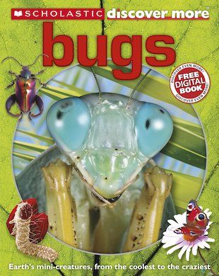 Discover More: Bugs
